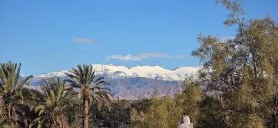 a view of the snow covered mountains and palm trees at Kasbah Dar Dmana in Skoura