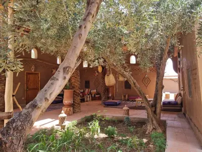 a courtyard with trees in a house at Eco-Ferme Tamalait Skoura in Skoura