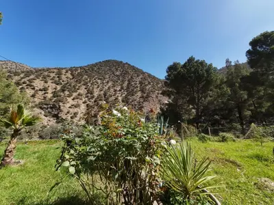 a field of flowers with a mountain in the background at Ourika Atlas Tigmi in Ourika