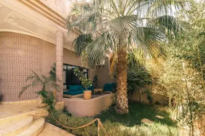 a lobby with a palm tree in a building at The Kozyhome in Ouarzazate