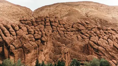 a large brown mountain with trees in front of it at Chez Ichou in Aït Idaïr