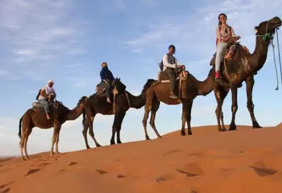 four people are riding on camels in the desert at chez zakaria à Merzouga in Merzouga