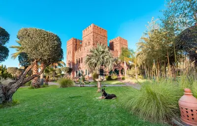 a dog laying in the grass in front of a castle at La Citadelle Marrakech in Marrakech