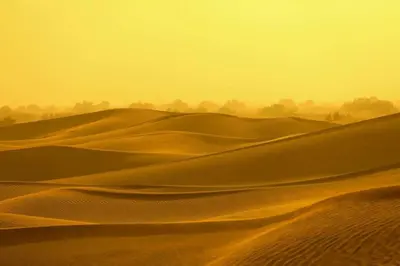 a group of deserts with trees in the background at Le Pacha Luxury Desert Camp - Mhamid Sahara Activities in Mhamid