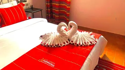two swans are sitting on top of a bed at Les Jardins Yasmina Bin el-Ouidane in Bine el Ouidane