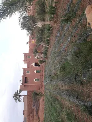 an aerial view of a row of houses with palm trees at Auberge jnane dar diafa se trouve au centre de tamegrouteface de la bibiotheque in Tamegroute