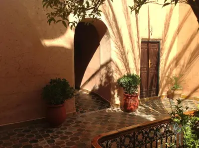 a hallway with two potted plants on a table at Riad Timadrouine, hôtel et restaurant in Tinerhir