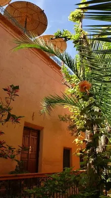 a house with a palm tree in front of it at Riad Timadrouine, hôtel et restaurant in Tinerhir