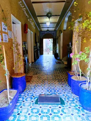 a hallway with potted plants on the floor at Riad Fennec Sahara in Zagora