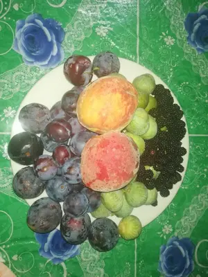 a plate of different types of fruit on a table at Auberge de Tabhirte in Tahla