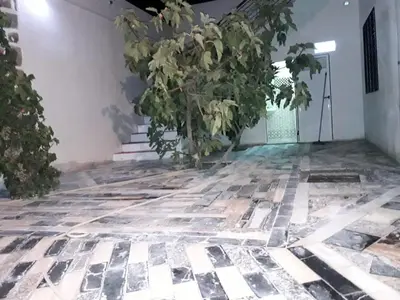 a plant growing on the floor of a building at BELLE MAISON AU COEUR DES MONTAGNES DE TAZA à moins de 10 minutes de l'AGORA PARK in Taza