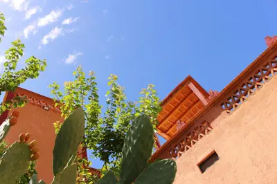 a building with a cactus in the foreground at Riad Gabsi Dades in Boumalne