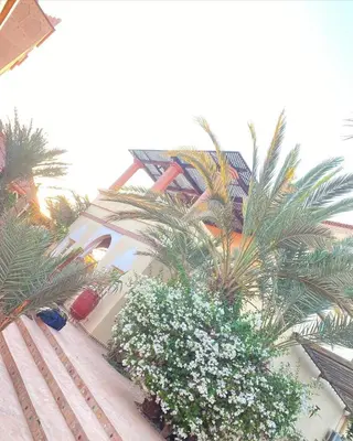 a white truck parked next to some palm trees at Ksar Jenna in Nkob