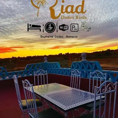 Riad Dades Birds