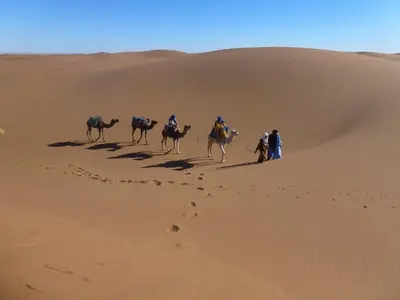 a group of people riding camels in the desert at Camp Desert Bivouac Chegaga in El Gouera