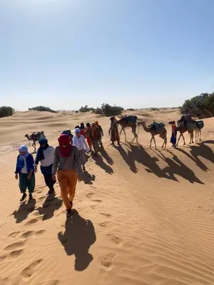 a group of people walking in the desert with animals at Desert Bivouac Mhamid in Mhamid