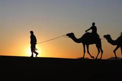 three people riding camels in the desert at sunset at Sultan Luxury Camp in Merzouga