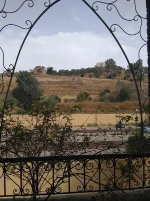a view of a field from a gate at DAR EL AAMOURI in Fès