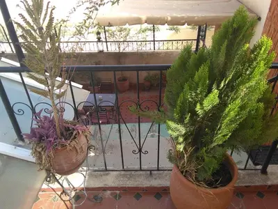 a balcony with two potted plants on a railing at DAR EL AAMOURI in Fès