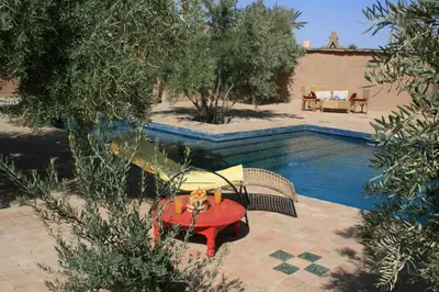 a dog sitting on a table next to a pool at kasbah 123 soleil in Skoura