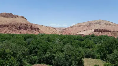 a group of mountains with trees in the foreground at Hotel Awayou in Bou Tharar