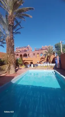 a blue swimming pool with a palm tree and a building at Maroc Galacx in Ouarzazate