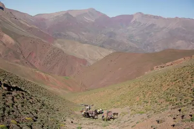 a group of people riding horses on a mountain at ZEN ECOLODGE in Tighli