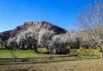 a mountain in the distance with trees in the foreground at ZEN ECOLODGE in Tighli