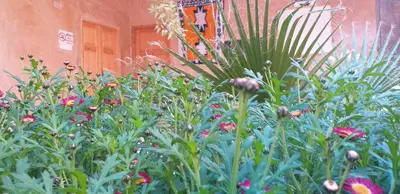 a garden of flowers and plants in front of a building at ZEN ECOLODGE in Tighli