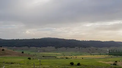 a green field with trees on a hill at Gîte Forest Tagroumte in Azrou