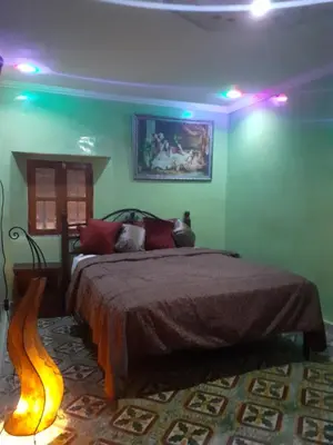 a bedroom with a bed in a room with green walls at Dar Rihanne in Fès