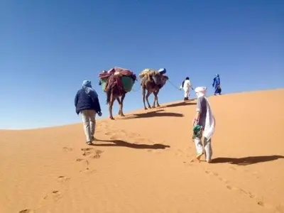 a group of people walking in the desert with camels at Desert Camp Laila in Mhamid