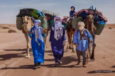 a group of people walking with a camel in the desert at Desert Camp Laila in Mhamid