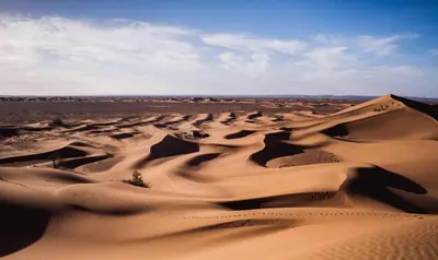 a desert with sand dunes and trees in the distance at Desert Camp Laila in Mhamid