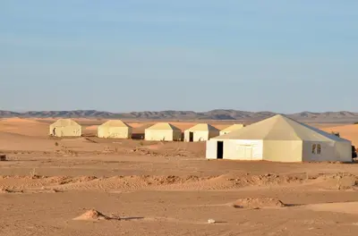 a group of camels in the desert at Jardin Kotori Luxury Camp in Merzouga