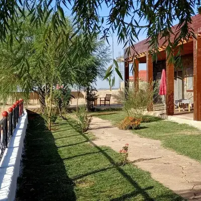 Tamanoucht