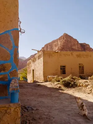 a cat sitting in front of a building at Chambres dans casbah - Gite D'étape Gorges De Ziz in Er Rachidia
