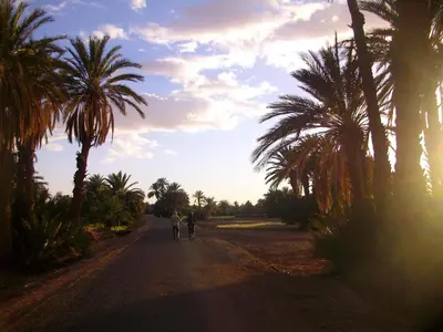 two people walking down a dirt road with palm trees at Mhamid Auberge Saharaespace in Mhamid