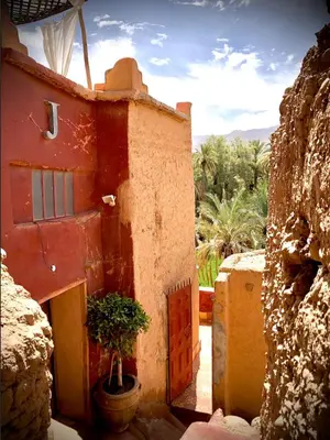 a building with a potted plant in front of it at Maison d'hôte ''J'' in Agdz