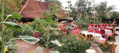 a garden with red chairs and tables and flowers at Paradise in the southern desert Morocco in Tamegroute