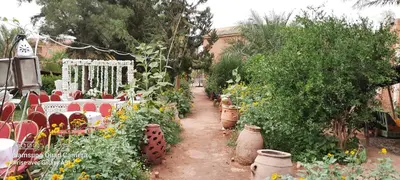 a garden with tables and chairs and some plants at Paradise in the southern desert Morocco in Tamegroute