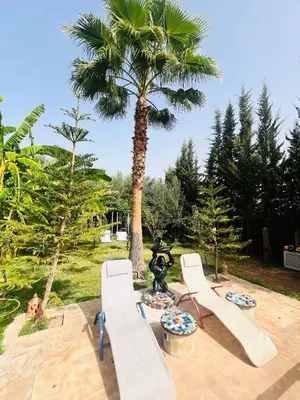 a group of white chairs and a palm tree at Ilafe Farmhouse, Villa avec Piscine Chauffée Privée pour Familles in Marrakech