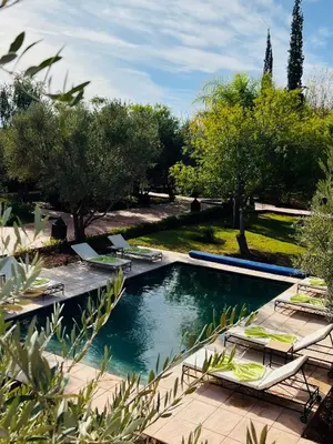 a swimming pool with chairs and trees in a park at LES JARDINS DE MARRAKECH in Marrakech