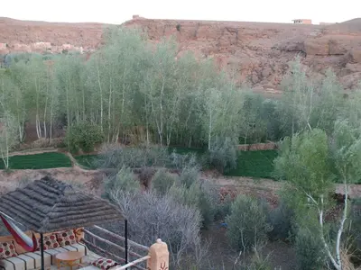 a view of a garden with trees and a mountain at Kasbah Agoulzi in Kalaat MGouna