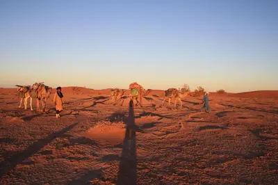 a group of people walking in the desert with their animals at Auberge la Palmeraie in Mhamid