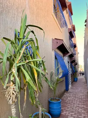a row of potted plants next to a building at Merzouga Hotel Lexpert 
