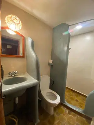a bathroom with a sink and a toilet and a mirror at Maison D'hôte La Vallée Des Figues in Tamellalt