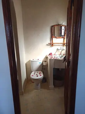 a bathroom with a toilet and a sink at Ourika lodge the healing place in Tafza