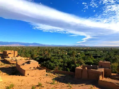 a view of the desert with buildings and trees at Auberge Migusta in Skoura