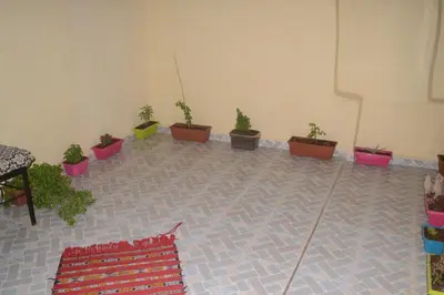 a room with potted plants on the floor at LA casa Dar Rayan in Fès